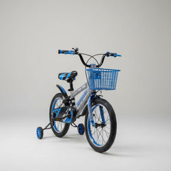 16” Doumoer Blue Bicycle