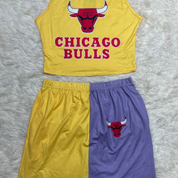 Chicago Bulls Set