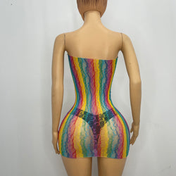 Z Mesh Rainbow Spandex Tube Dress