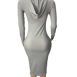 Hoodie Long Sleeve Dress