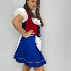 Sexy Swiss Miss Costume