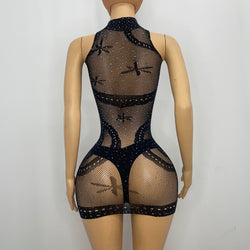 Z Mesh Sparkly Spandex Dress