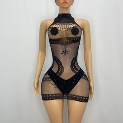 Z Mesh Sparkly Spandex Dress