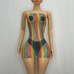 Z Mesh Rainbow Spandex Tube Dress