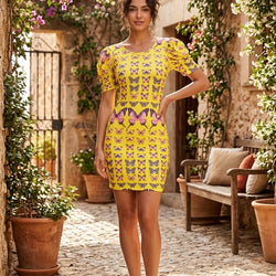 Poof Sleeve Butterfly Dress