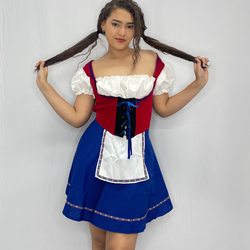 Sexy Swiss Miss Costume