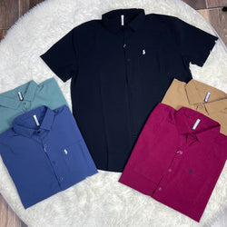 Pinstripe Polo Shirt