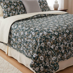Queen Size Comfy Blankets