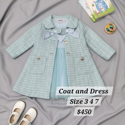 Elegant Blue Coat And Dress