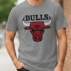 Chicago Bulls Tee Shirt