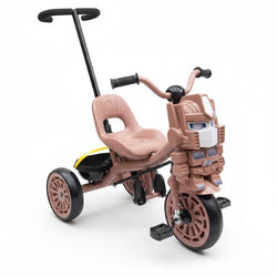 Transformer Stroll Tricycle