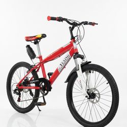 20" SRJD20 Yling Bicycle